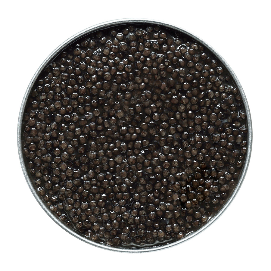Beluga 0 - Iran - Acipenser Caviar