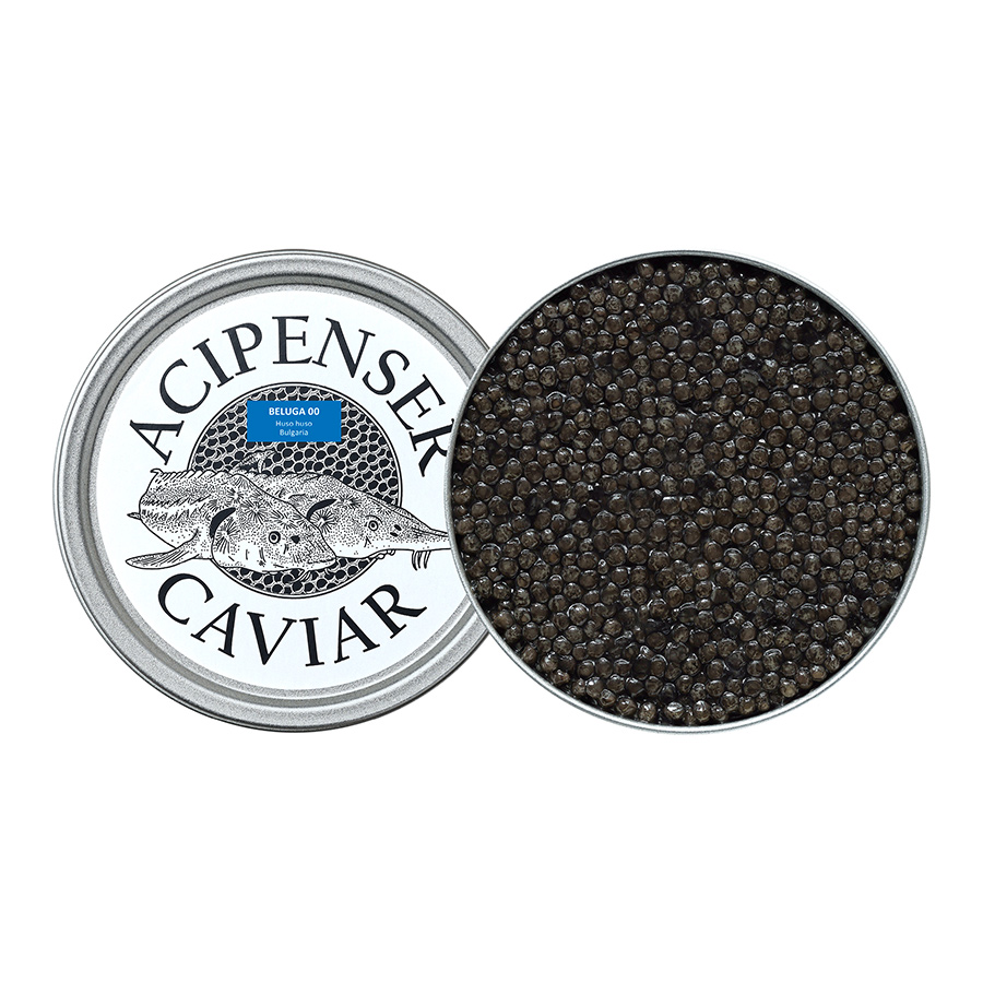 Beluga 00 - Acipenser Caviar