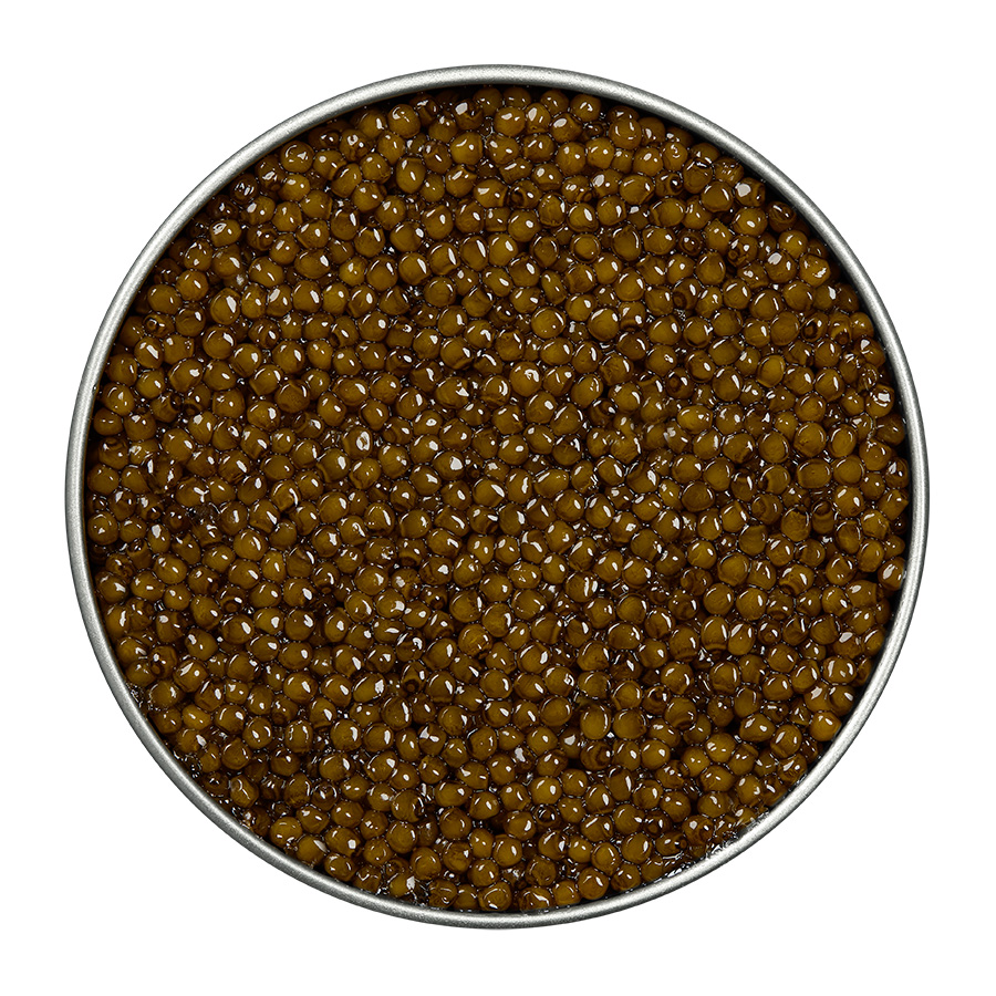 Kaluga Amour Selection - Acipenser Caviar