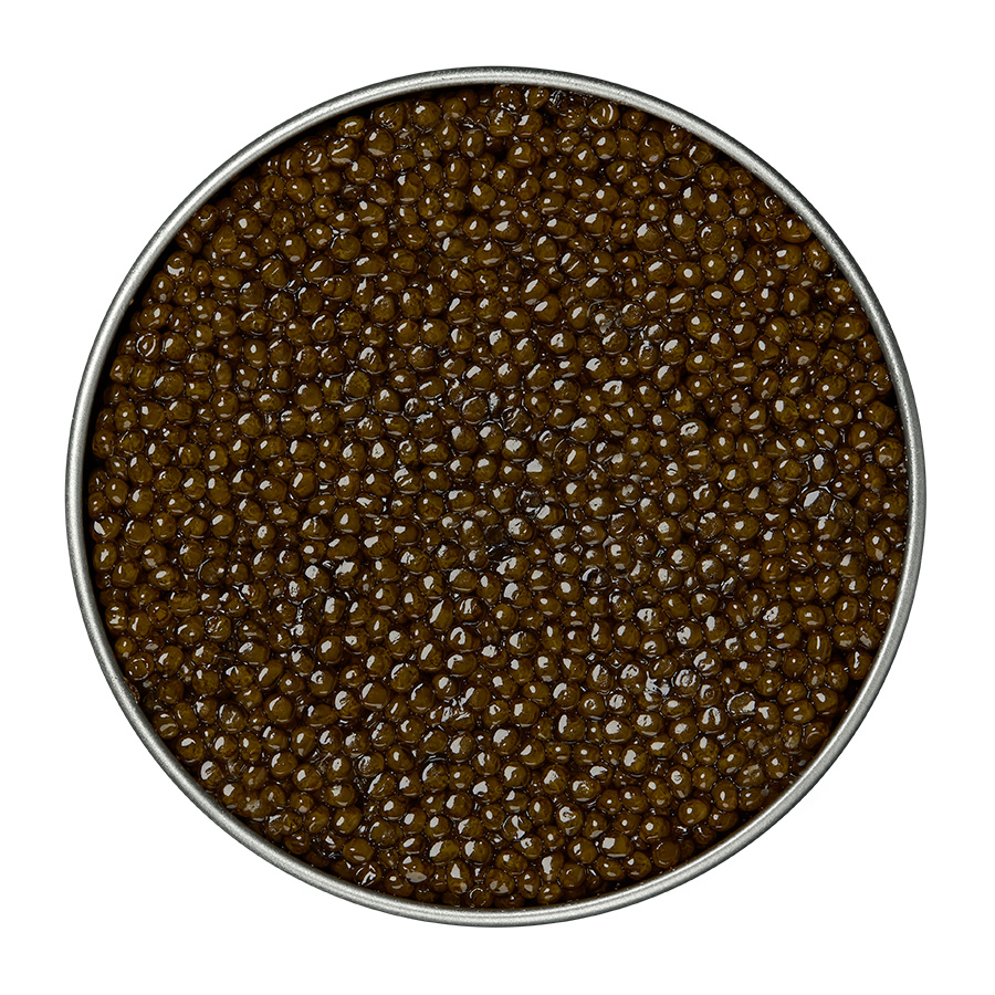 Ossetra - Acipenser Caviar
