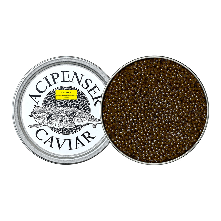 Ossetra - Acipenser Caviar