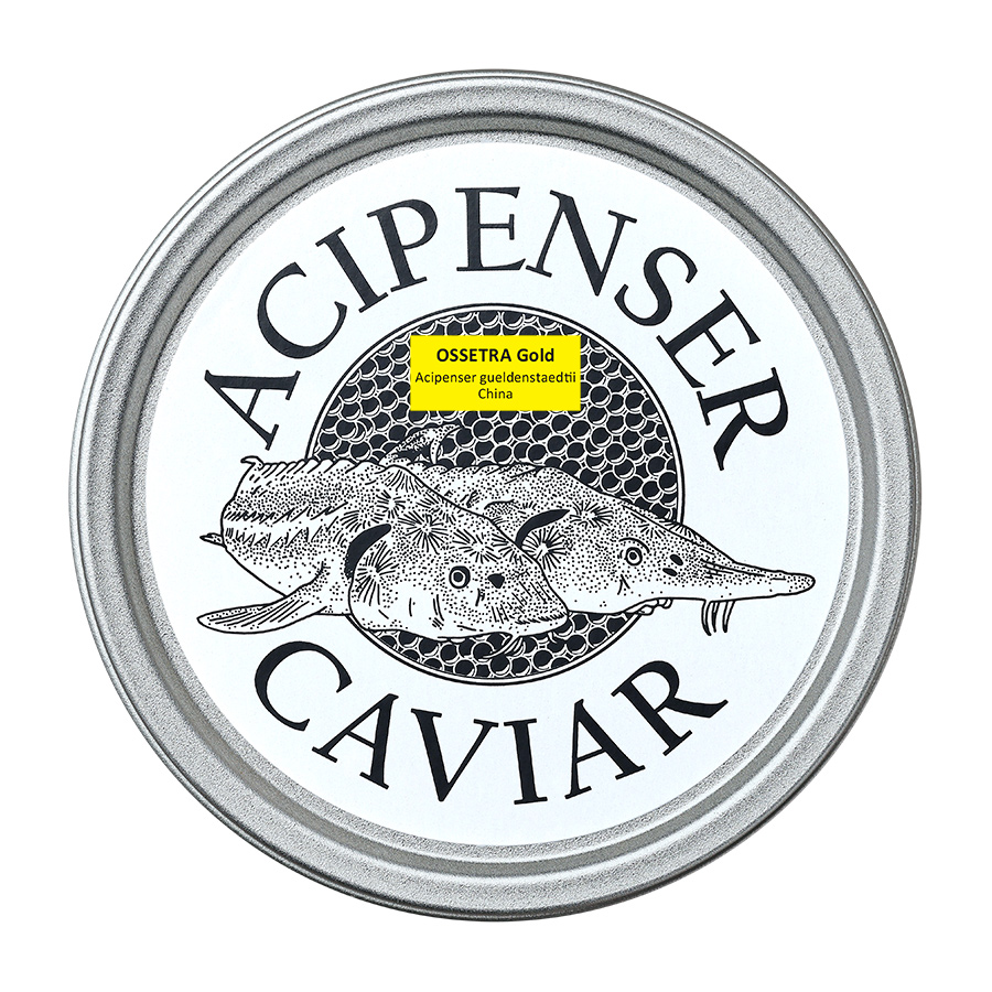 Ossetra Gold - Acipenser Caviar