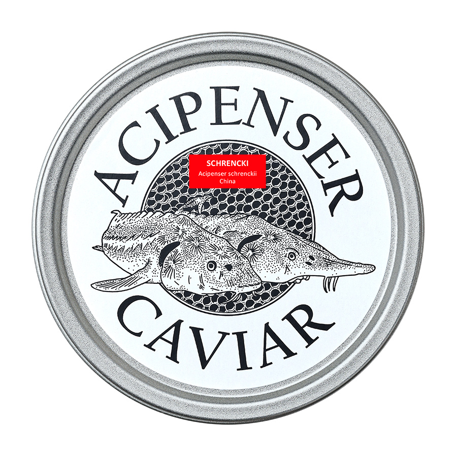 Schrencki - Acipenser Caviar