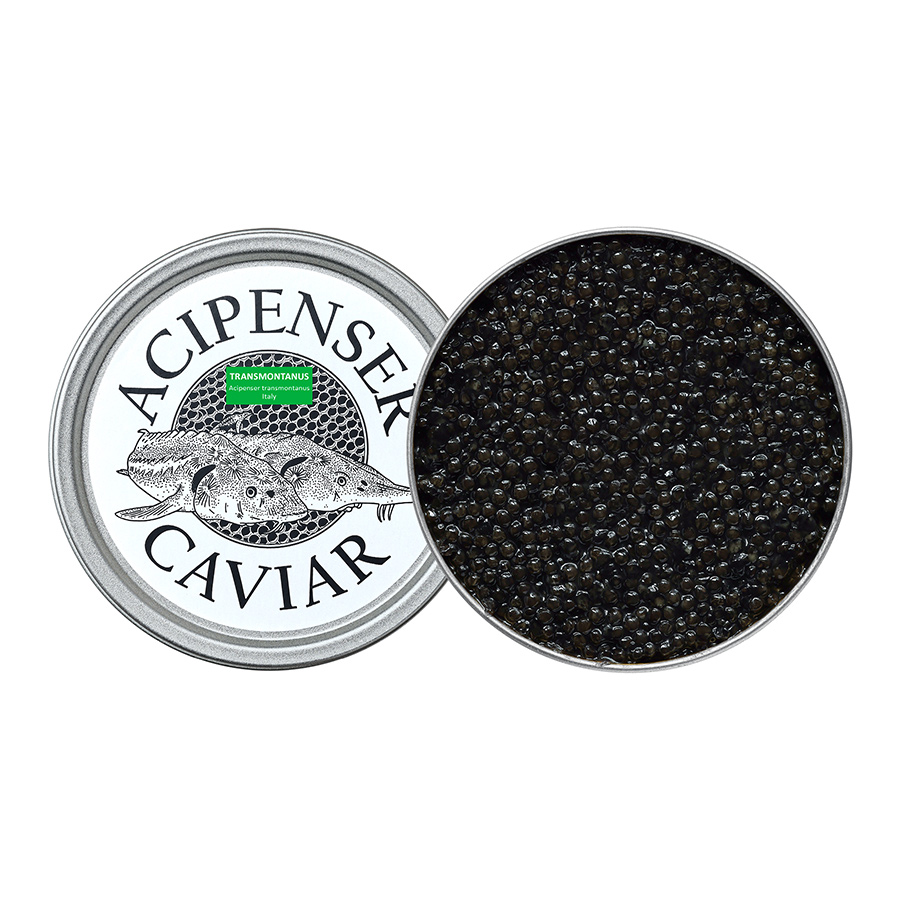 Transmontanus - Acipenser Caviar