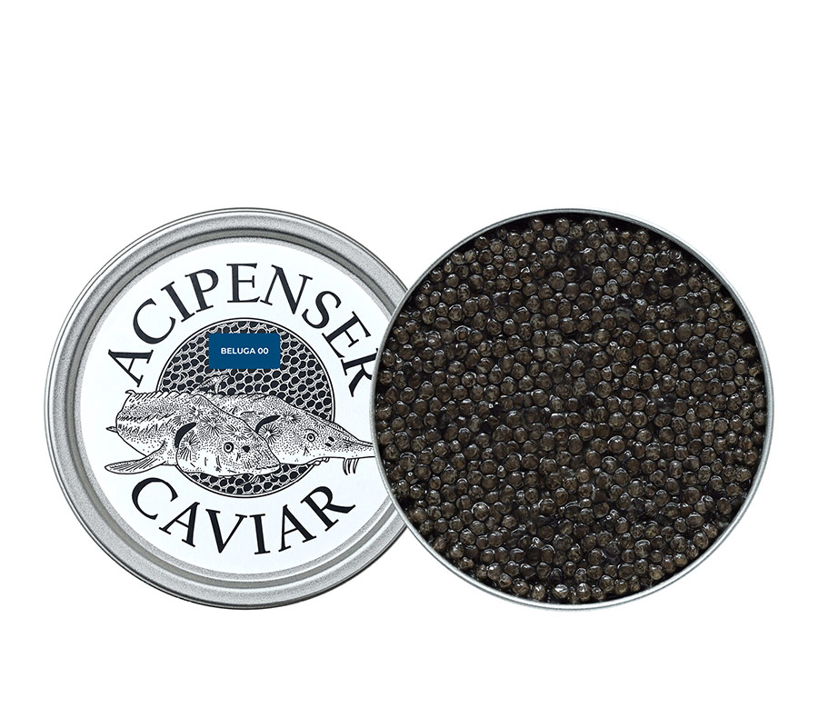 Beluga 00 - Acipenser Caviar