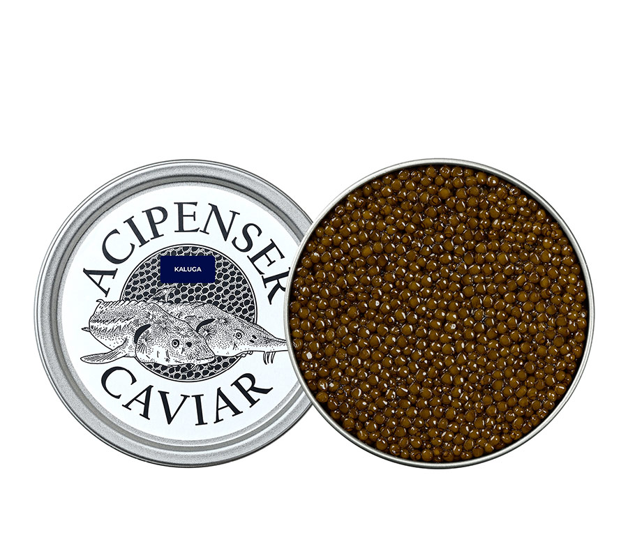Kaluga - Acipenser Caviar