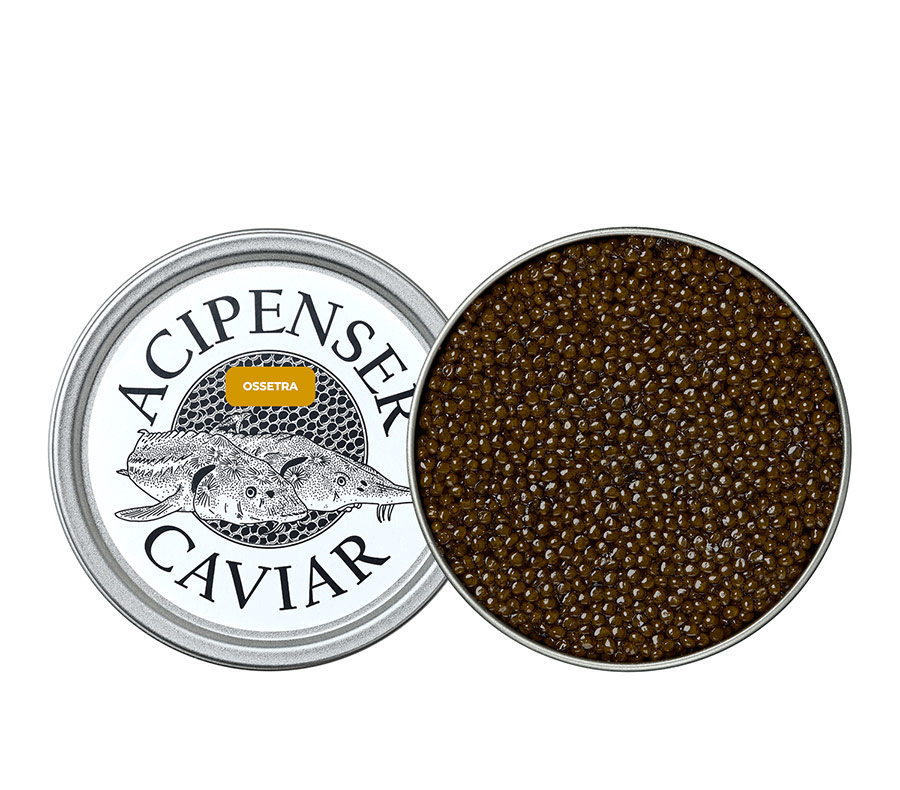 Ossetra - Acipenser Caviar